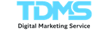 thedigitalmarketingservice.com